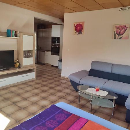 Appartement Am Waldesrand Gifhorn Buitenkant foto